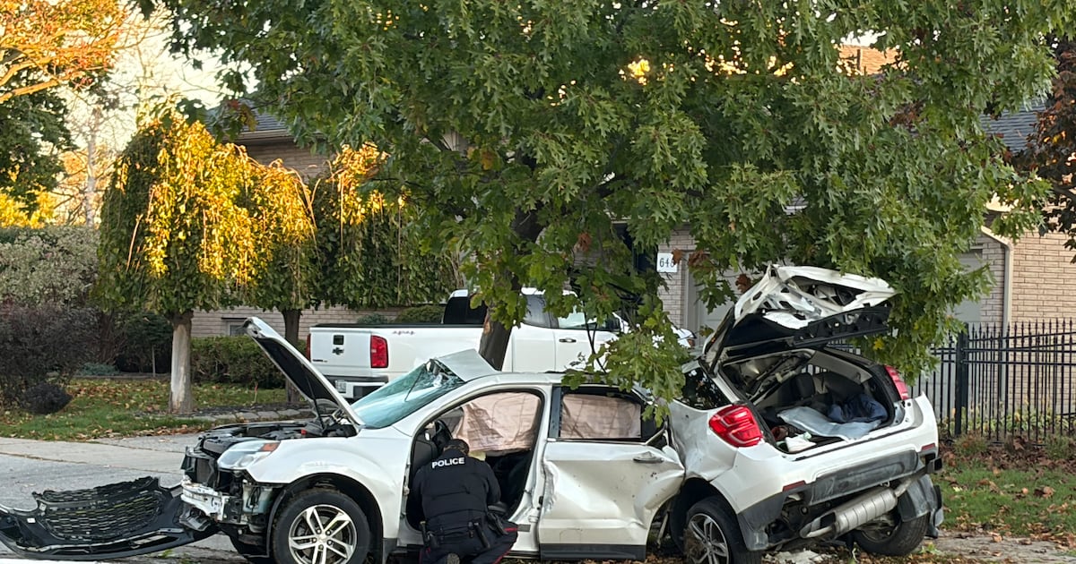 London man charged in fatal Upper Queen Street collision - CTV News