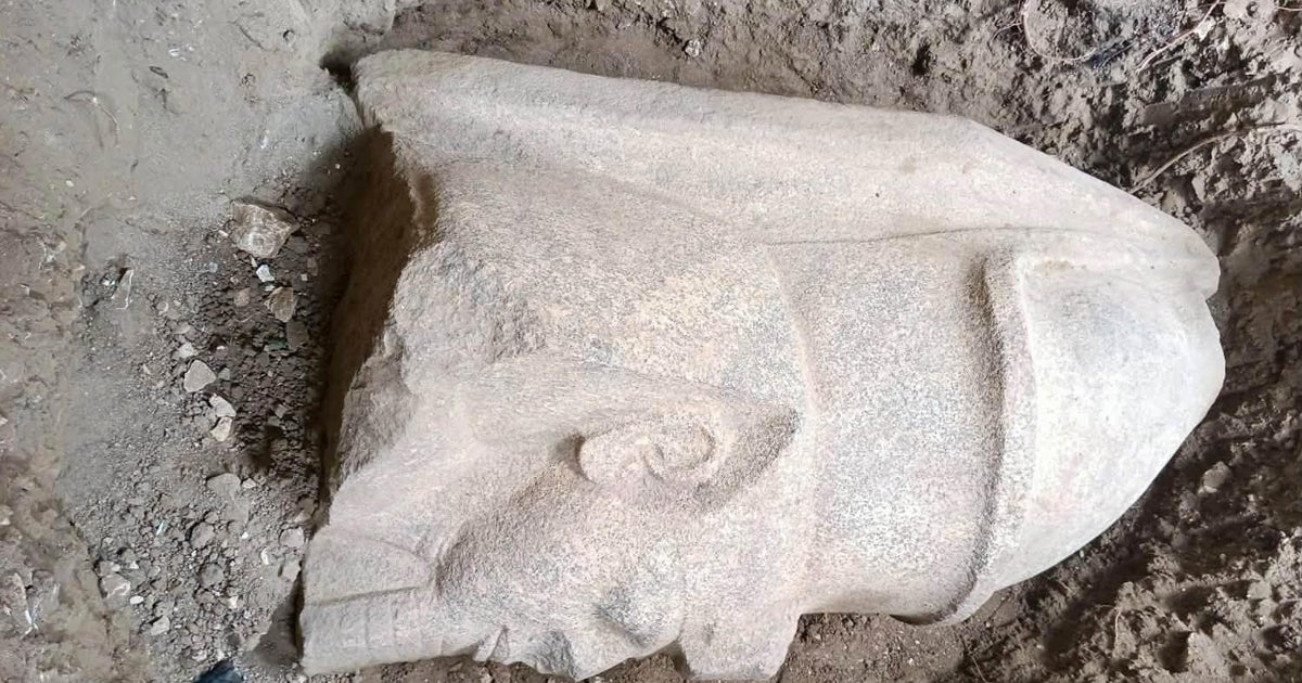 Pieces of statues for King Ramses II were discovered when a farmer's land was turned into an archaeology dig.