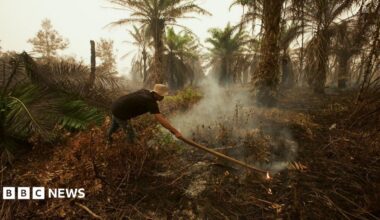 'It smells like charred earth': BBC at Indonesia fire epicentre causing Singapore and Malaysia haze crisis