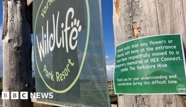 Yorkshire Wildlife Park reopens after man killed by tiger - BBC