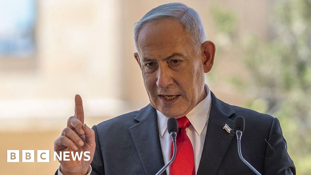 Flydubai attacker 'underwent Islamist radical indoctrination', Netanyahu says - BBC