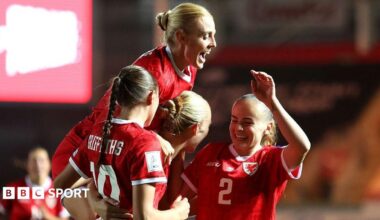 Wales players celebrate during their win over Albania