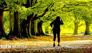 A silhouetted woman walking through amongst trees lit by sunshine, with autumn leaves on the ground.