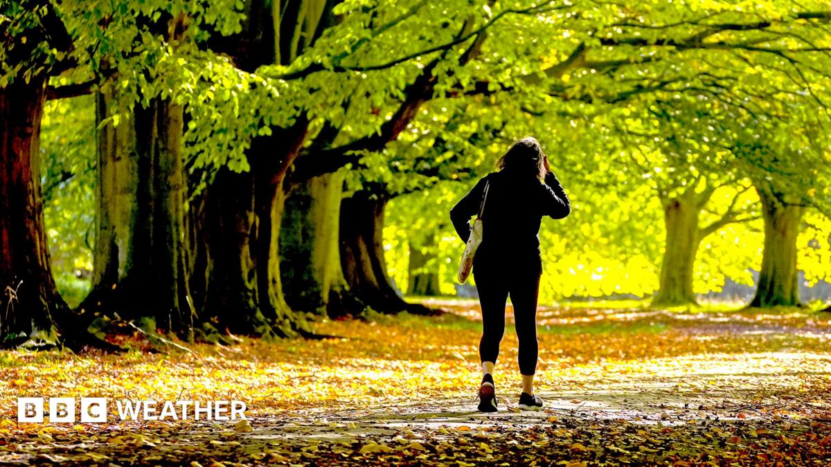 A silhouetted woman walking through amongst trees lit by sunshine, with autumn leaves on the ground.