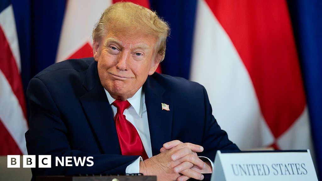 Trump's AI rebrand causes 'unprecedented' demand for Slovenian website names - BBC