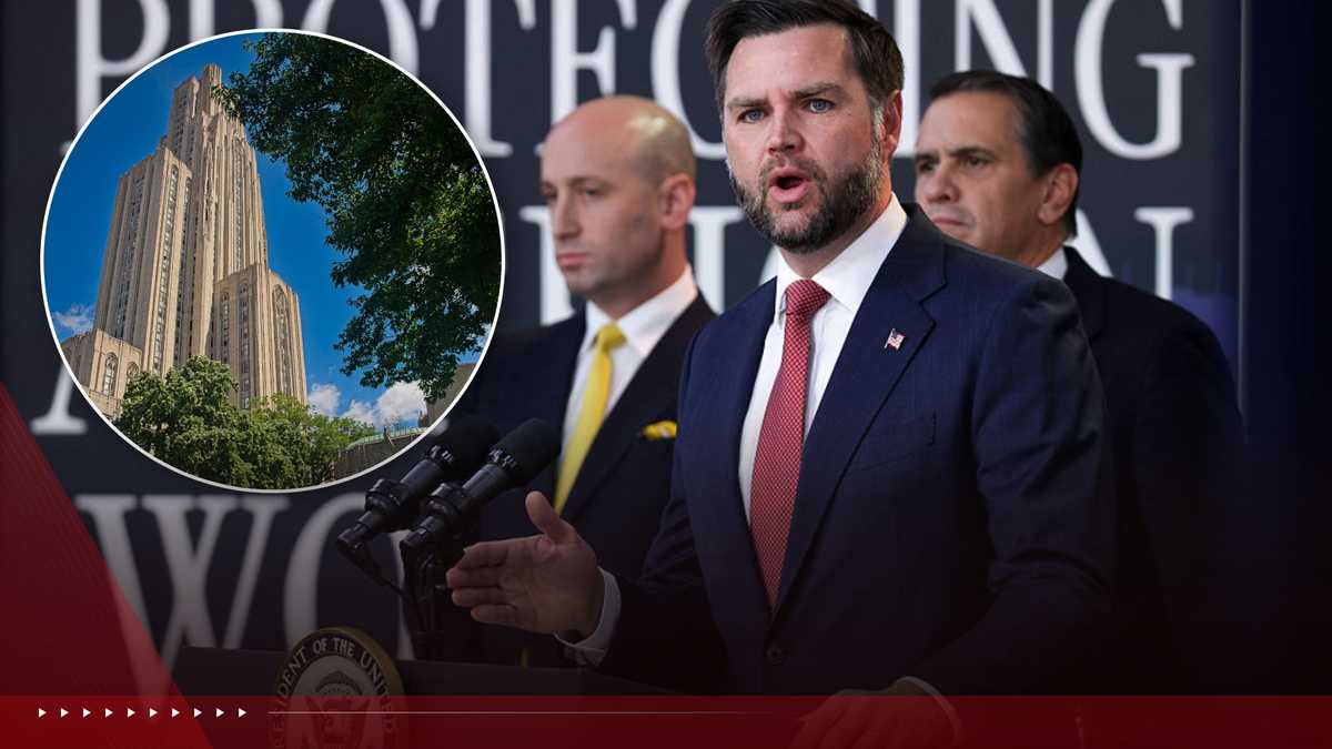 Pitt named in visa investigation by Vice President Vance