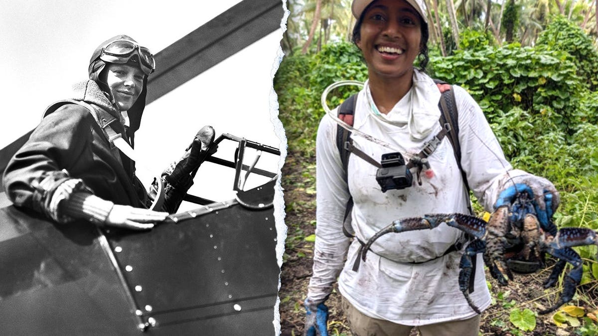 Split image of Amelia Earhart, researcher holding crab