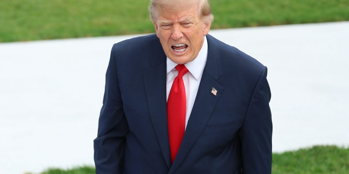 Trump weighs whether US should join Saudi Arabia's fight against Iran-backed Houthi rebels in Yemen
