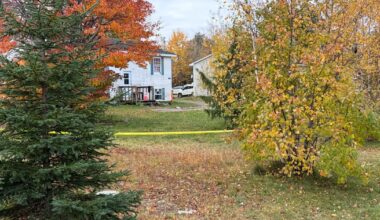 Man arrested for N.B. homicide while preparing to board plane bound for Dubai: RCMP - CTV News