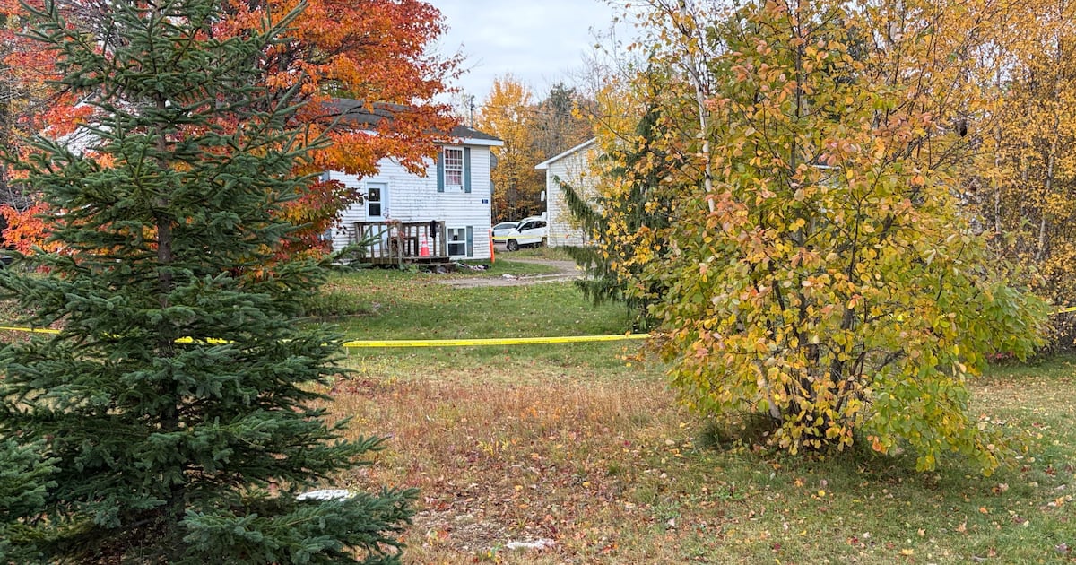 Man arrested for N.B. homicide while preparing to board plane bound for Dubai: RCMP - CTV News