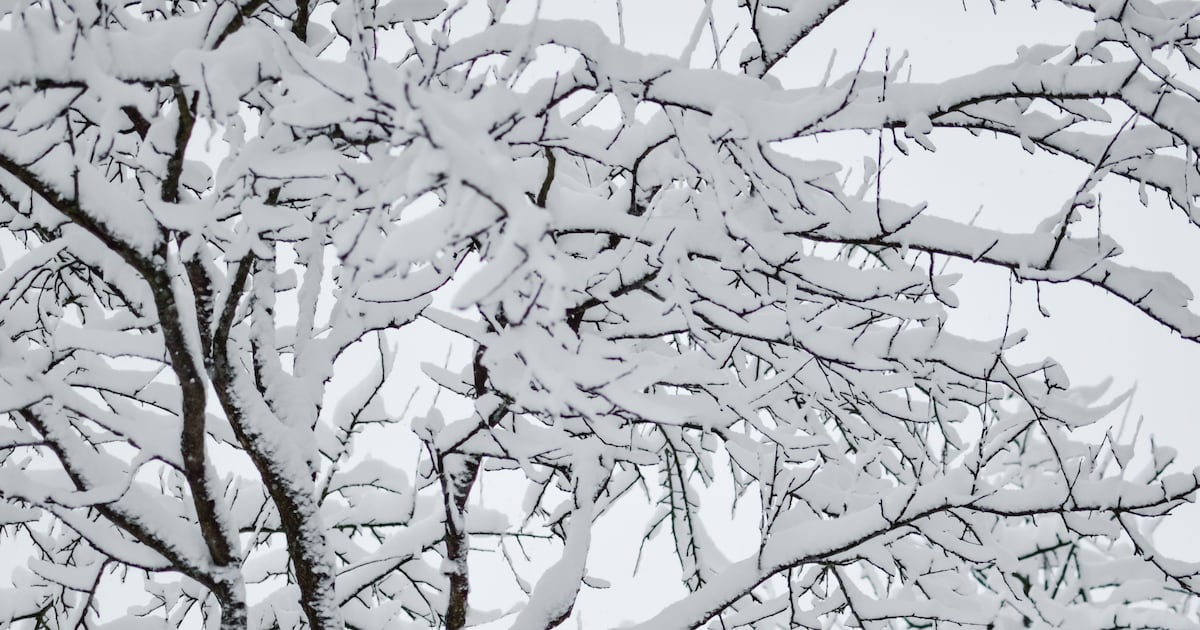 Snow expected for Calgary later this week, special weather statement in place - CTV News