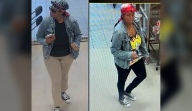 North York purse theft arrest: Senior citizens targeted, police say