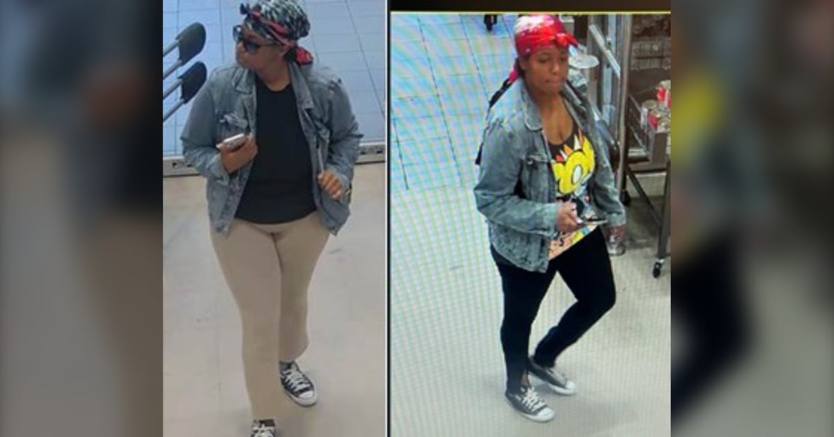 North York purse theft arrest: Senior citizens targeted, police say