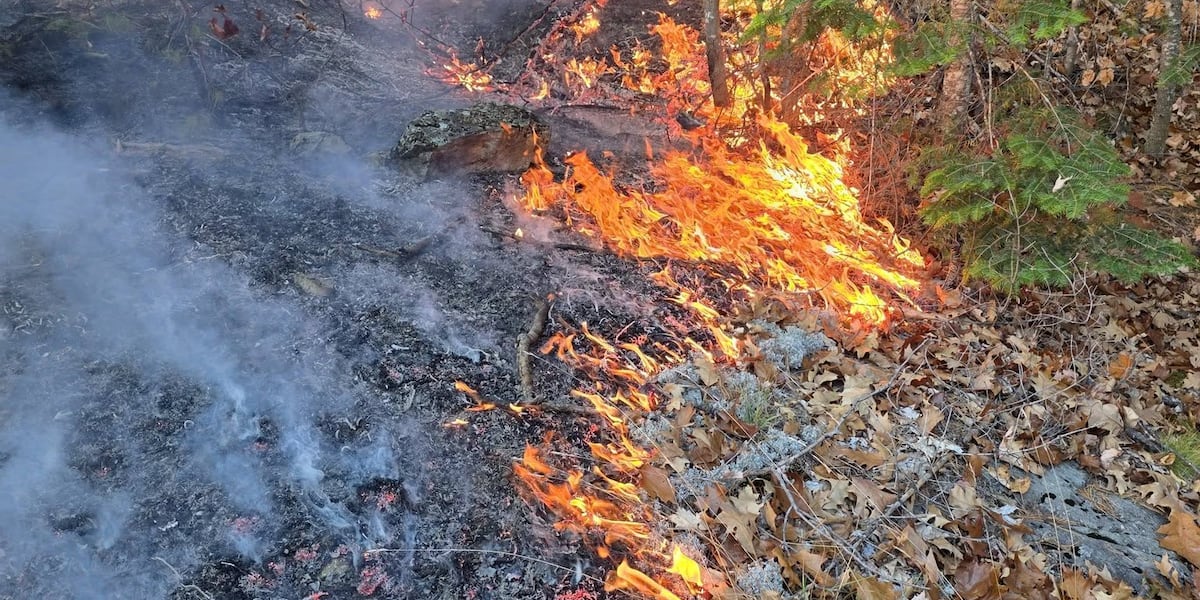 DNR provides new information on Negaunee Township brush fire