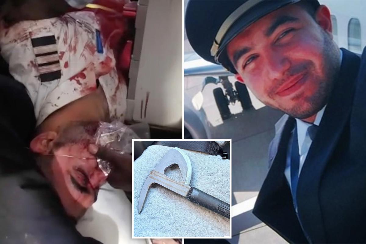 Accused flydubai hijacker celebrated beating women, Sharia law on social media