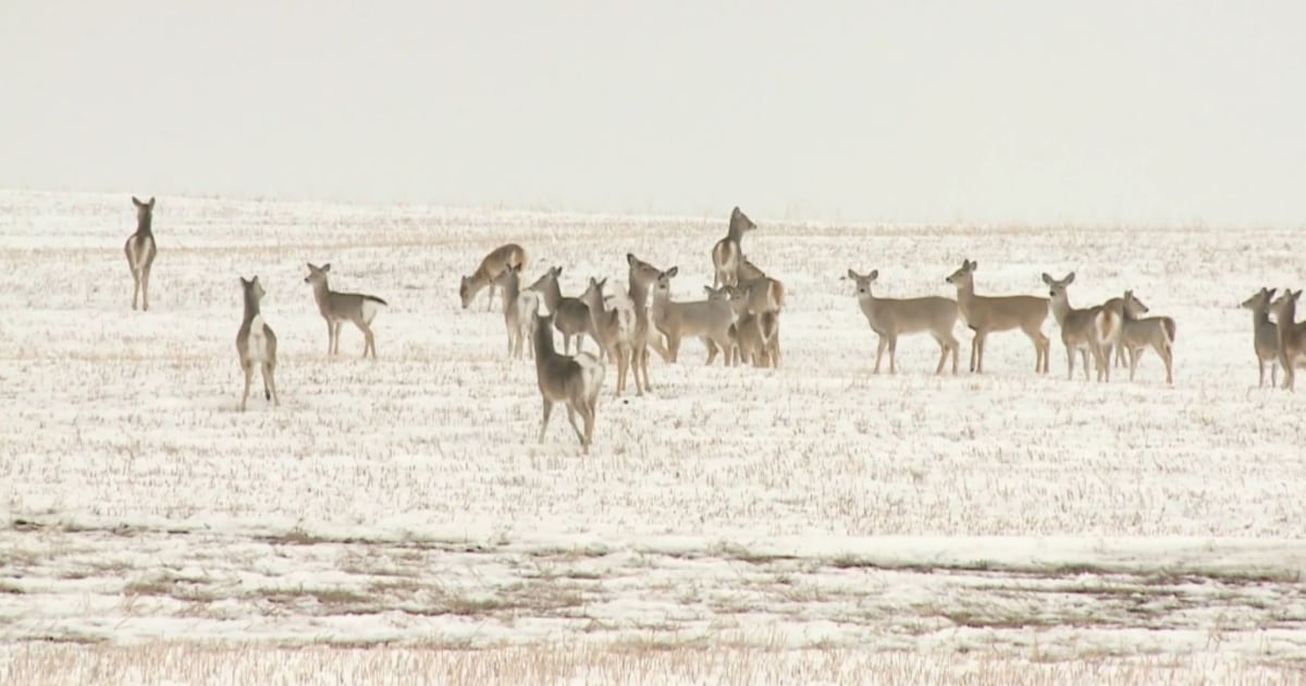 Heavy snowfall expected for Saskatchewan - CTV News