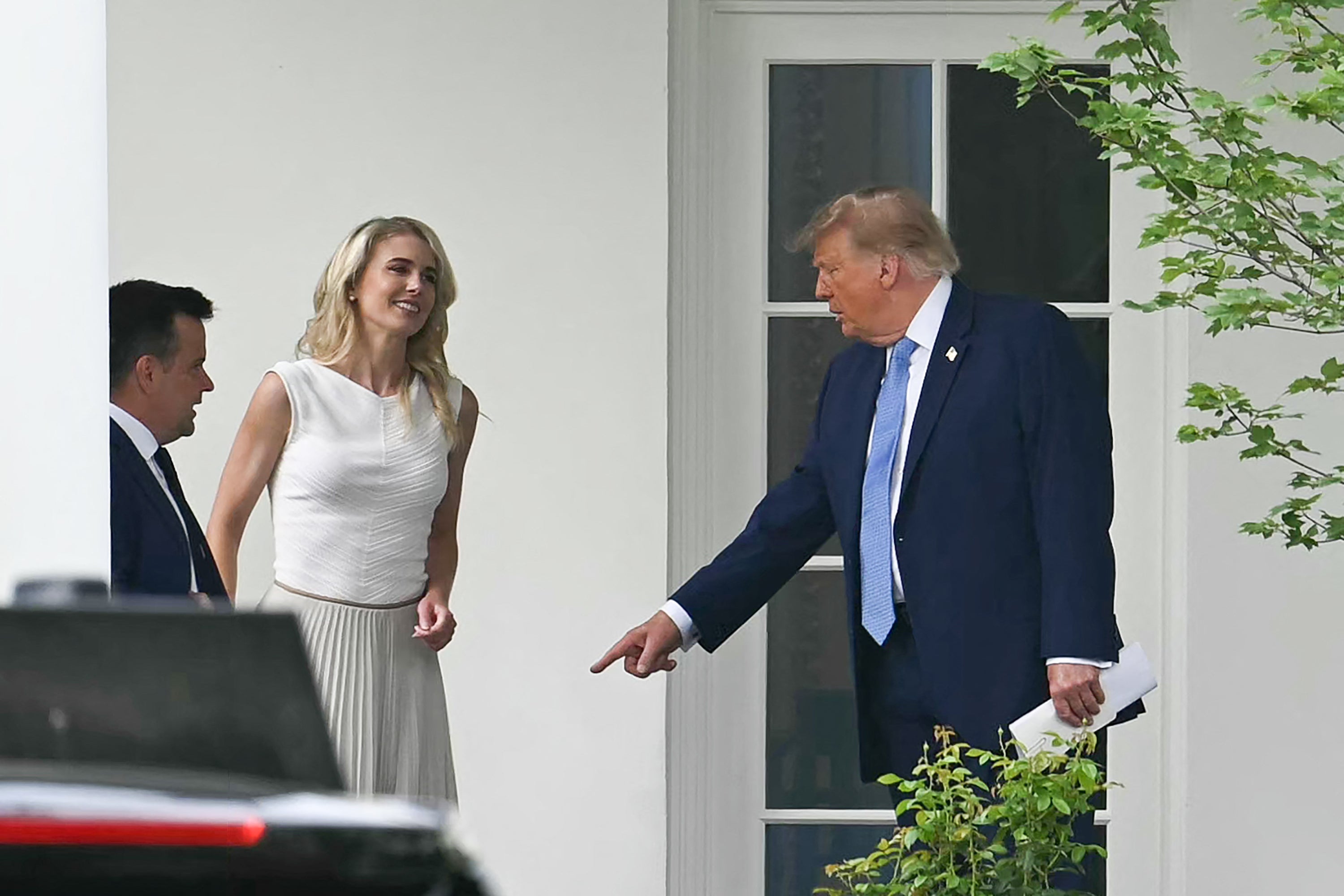 Trump aide Natalie Harp helped the president create midterm ads focused on him, according to a report. The ads cost roughly $20 million and were paid for by taxpayers