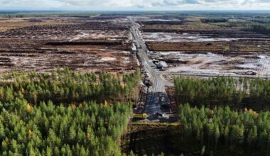 Google told to halt work on Finnish data centers after clearing an estimated 250,000 trees