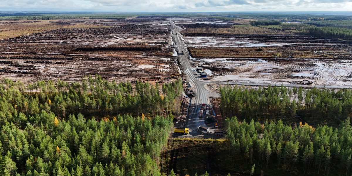 Google told to halt work on Finnish data centers after clearing an estimated 250,000 trees
