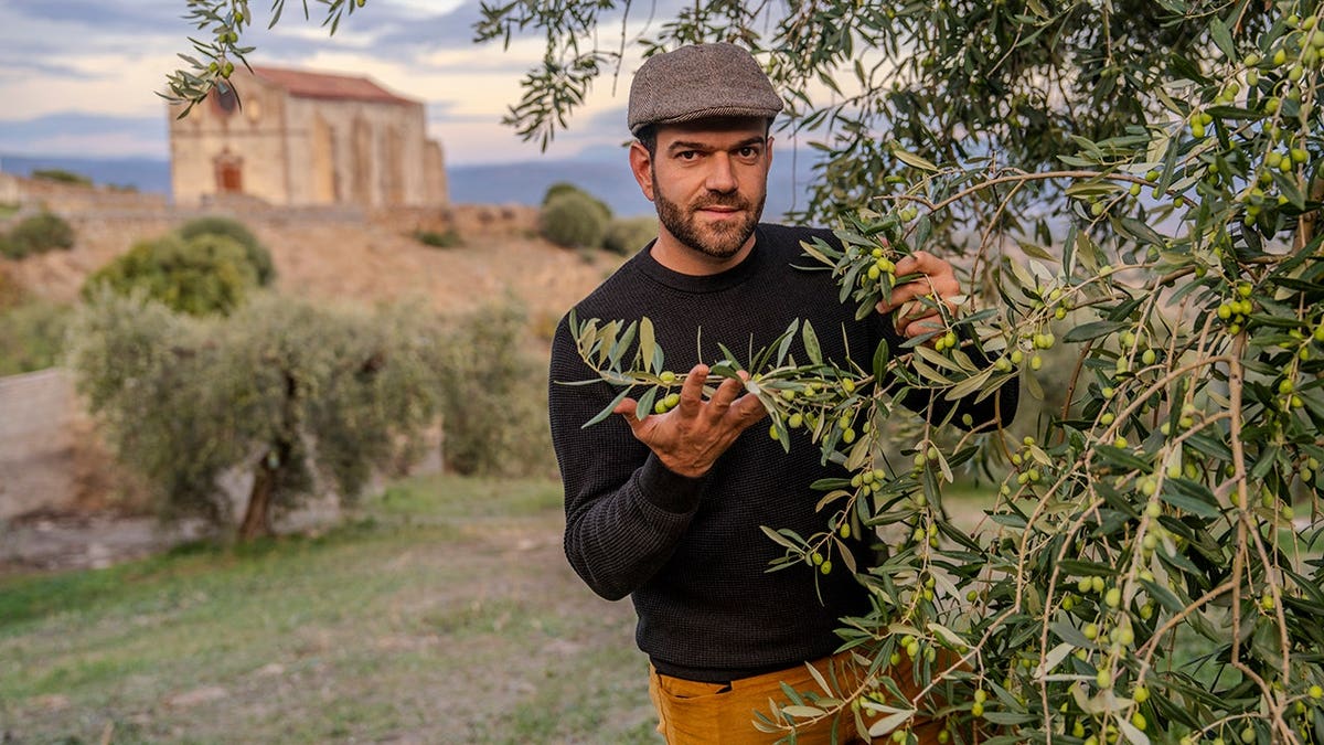 Giaccomo Nieddu maintains an ancient olive grove in Bolotona