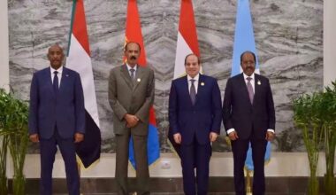 Four African leaders issue joint declaration as Ethiopia war escalates | Conflict News