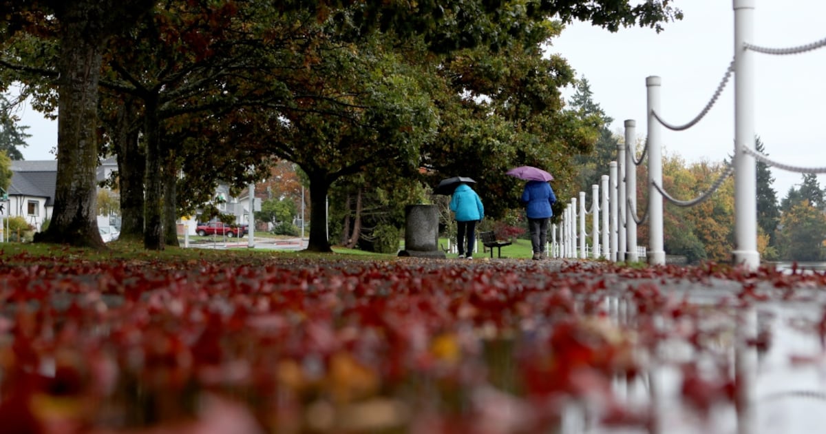 How Hurricane Isaias could impact Canadian weather over Thanksgiving weekend - CTV News