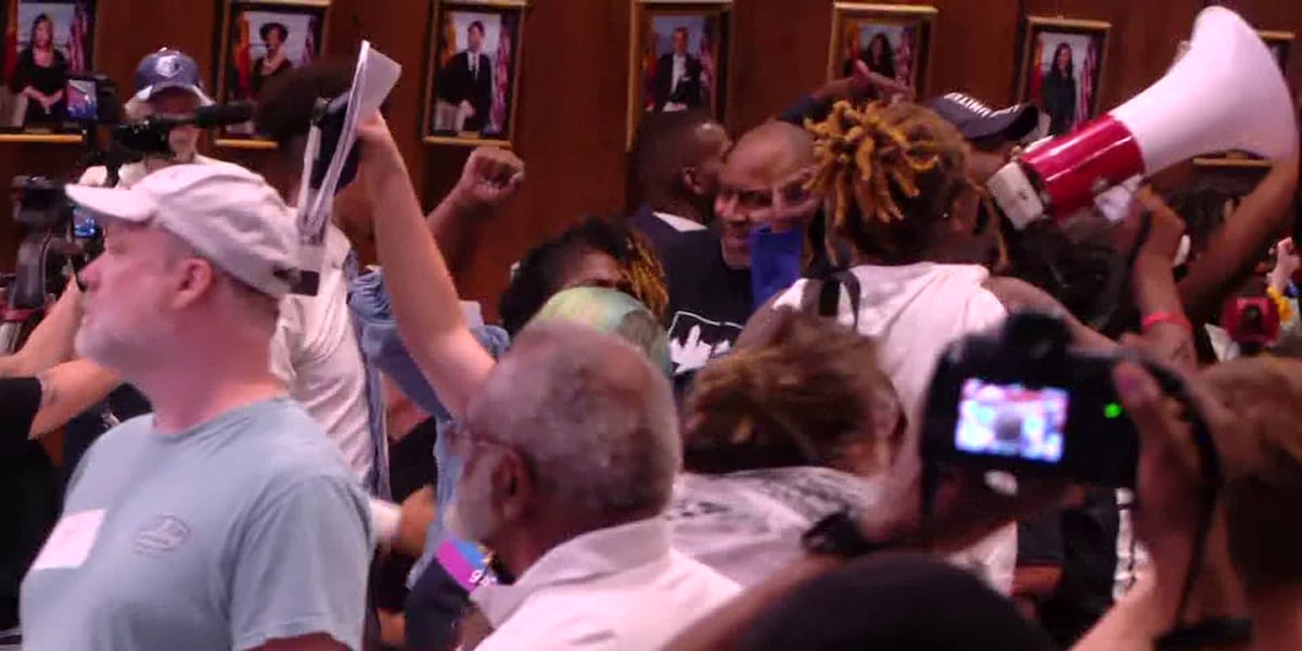 Protests, fistfight break out after data center moratorium vote postponed for 2nd time