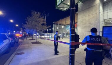 CTA Employee Fatally Stabbed At Green Line Station, Reports Say