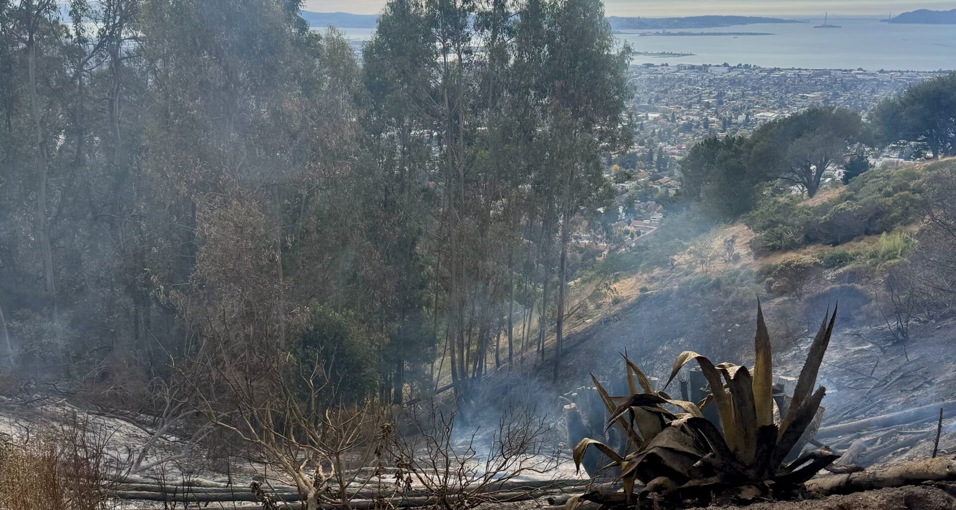 Fire in the Oakland-Berkeley hills draws coordinate response