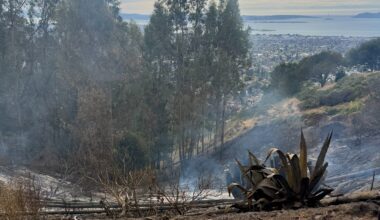 Fire in the Oakland-Berkeley hills draws coordinate response