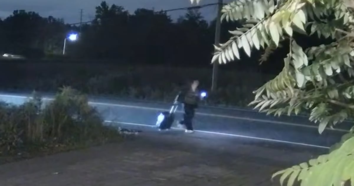 Vaughan hit-and-run: New video shows moments before fatal crash