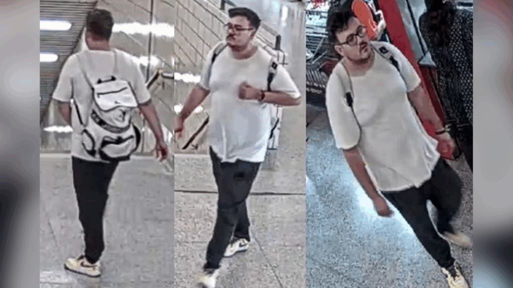 Police looking to identify suspect in alleged sex assault at Main Street subway station