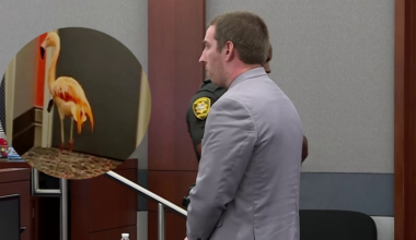 Canadian man accused of stealing flamingo in Las Vegas found guilty
