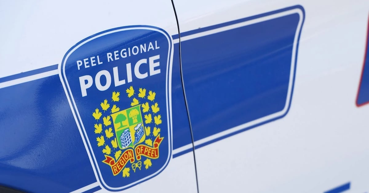 Mississauga man charged after Tedjo volunteer threatened