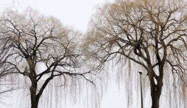 Toronto weekend forecast: will it be cold?
