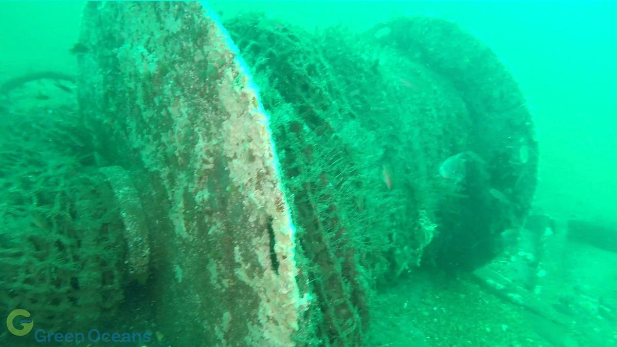 Close-up view of marine growth of ruined boat