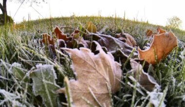 Toronto weather: frost advisory in effect