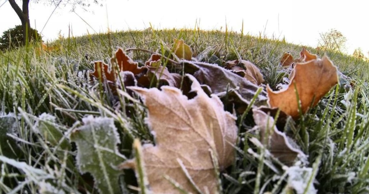 Toronto weather: frost advisory in effect