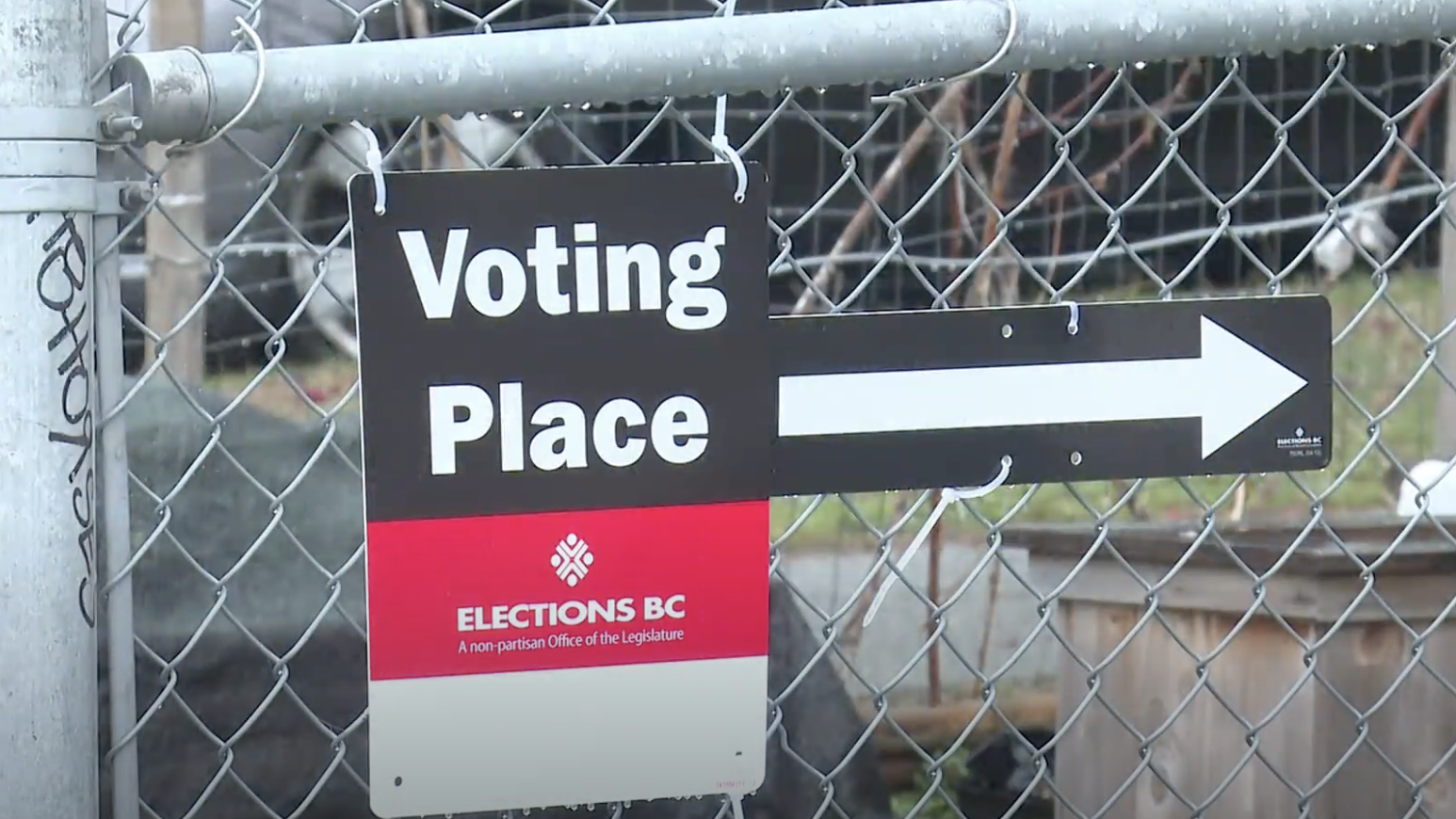 4 Island ridings too close to call with mail-in ballots still left to be counted