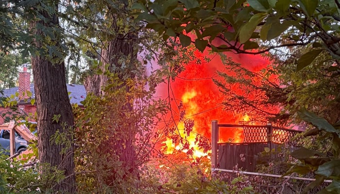 Hamilton explosion