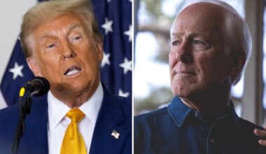 Trump says Cornyn and Rove to blame if Paxton loses Senate race