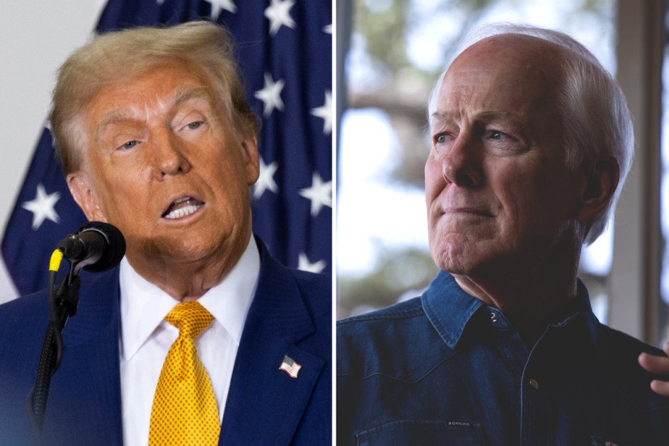 Trump says Cornyn and Rove to blame if Paxton loses Senate race