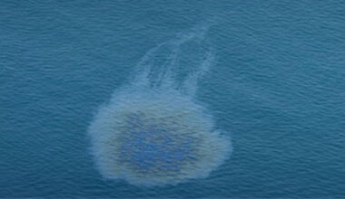 UAE Confirms Approaching Oil Spill as Iran Claims Continued Attacks