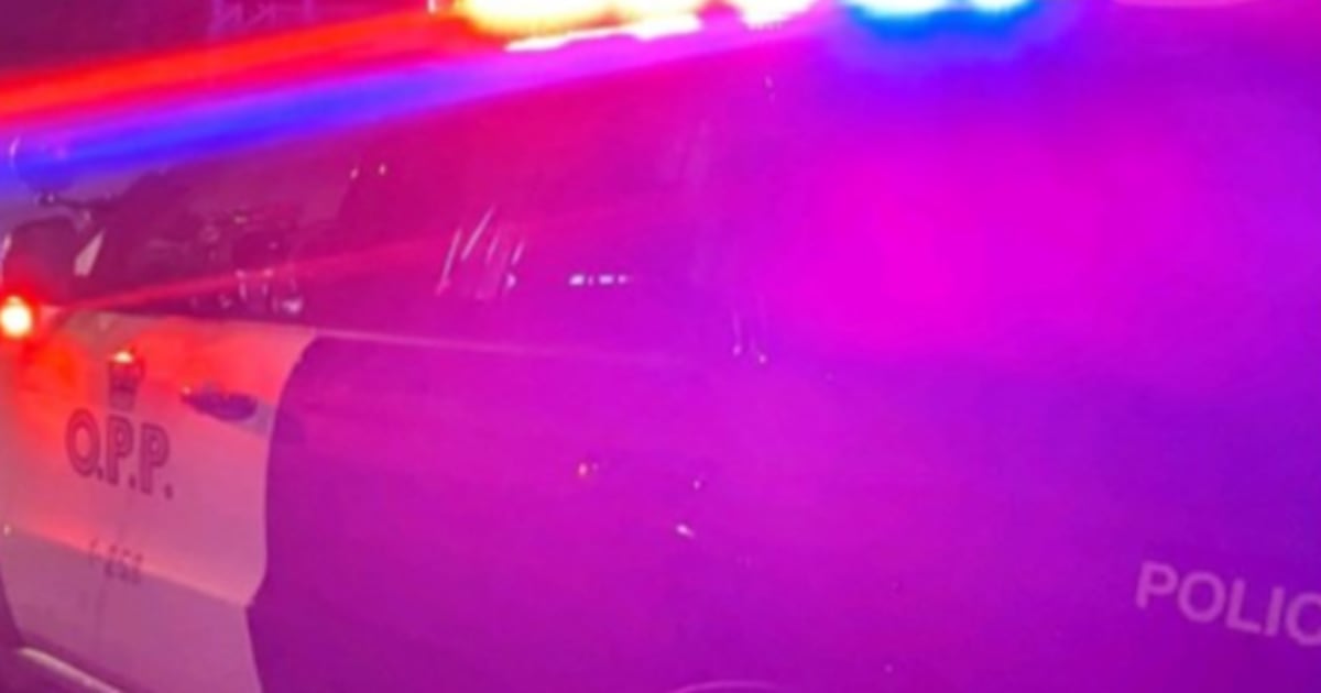 Driver charged after Orangeville ‘road rage’ incident leaves man in ‘life-threatening’ condition