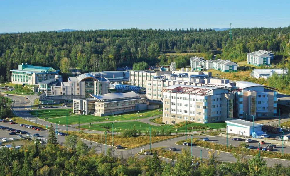 universities