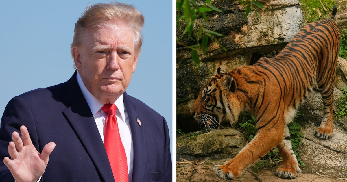 Trump, White House post video of man being killed by tiger - CTV News
