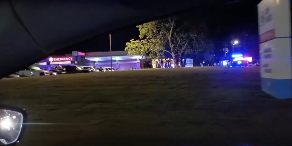 2 men dead, multiple others shot in mass shooting incident in Vienna, per the coroner