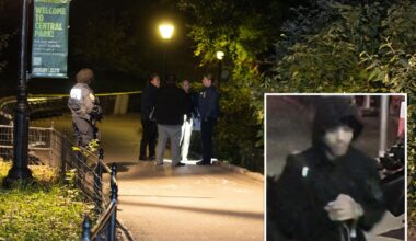 Creep wanted for raping woman at knifepoint in Central Park pictured for first time