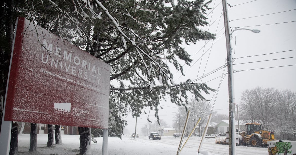 Staff member assaulted on campus at Memorial University in St. John's, N.L. - CTV News