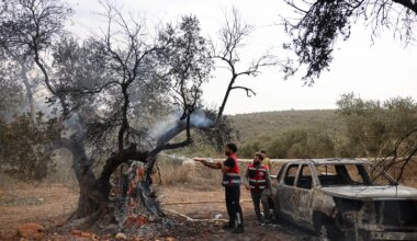 Israeli Settlers Attack Palestinians, Washington Post Reporter in the West Bank